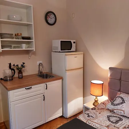 Vuk Garsonjera Apartment *