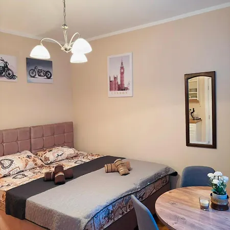 Apartment Vuk Garsonjera